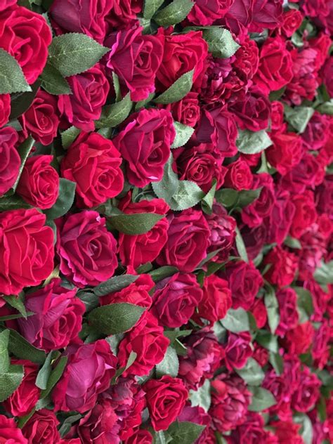 Check spelling or type a new query. Red Silk Flower Wall | Services | , Barbeque Downs ...