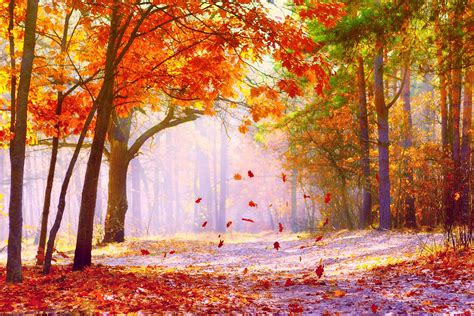 Die 83 Besten Herbstliche Landschaft Hintergrundbilder Hd