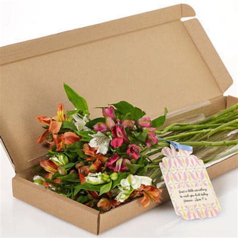 Email the recipient a gift receipt after delivery. 4 Great Gifts To Send Through The Post — Flowercard ...
