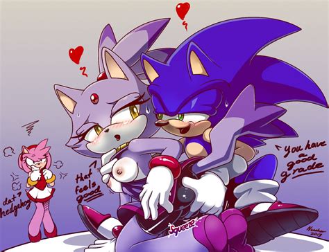 1030882 Amy Rose Blaze The Cat Nancher Sonic Team Sonic