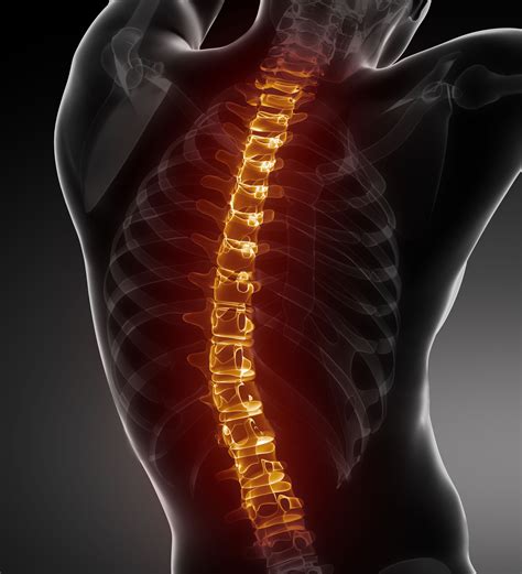 Long Term Effects Of Spinal Cord Injuries Salt Lake City Ut