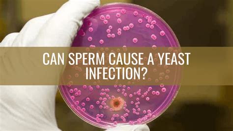 Can Sperm Cause A Yeast Infection The Hidden Connection