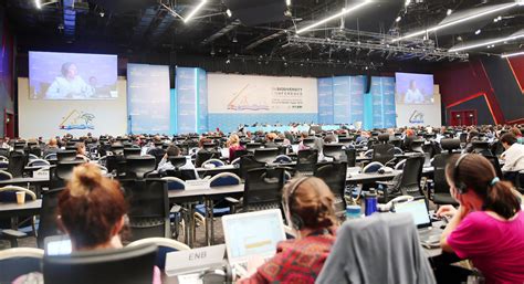 196 Countries Agree To Scale Up Investments In Nature And People