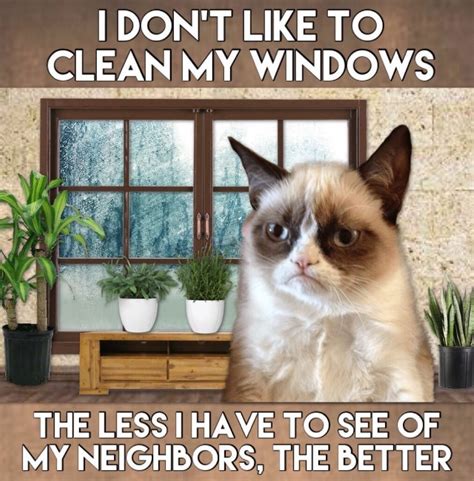 Top 23 Grumpy Cat Memes Harry Potter Self Worth Quotes