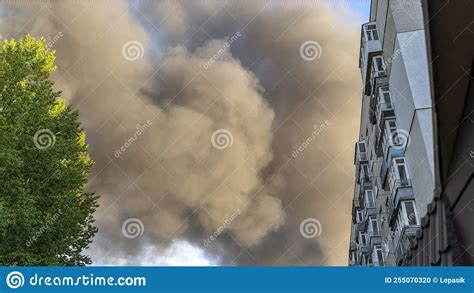 Black Smoke From The Fire Rises Against The Background Of Trees And A