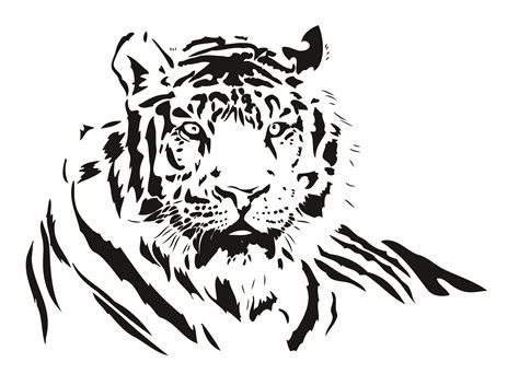 Download White Tiger svg for free - Designlooter 2020 👨‍🎨
