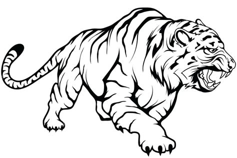 Tiger Drawing Pictures Easy Simple Tiger Drawing At Getdrawings