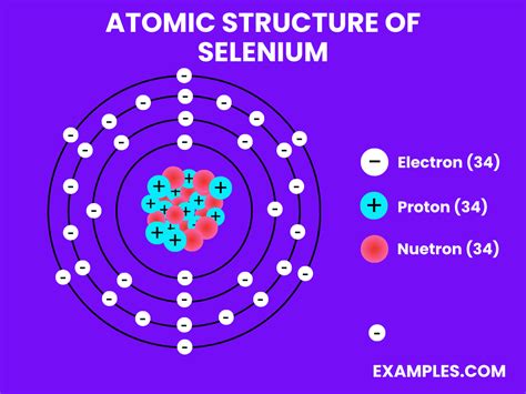 Selenium Examples