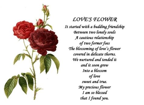 30 Beautiful Love Poems