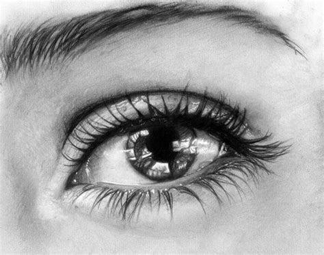 The Detail Is So Beautiful Eye Pencil Drawing Realistic Drawings