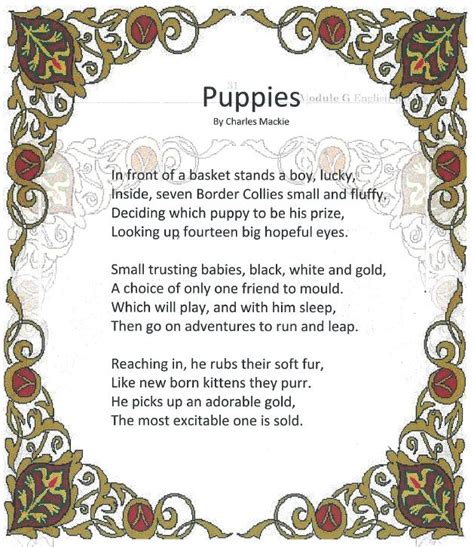 Puppy on the table, puppy on the floor, puppy knocking over things, and scratching on the door. Virtual School Victoria » Puppy poem by Charlie in Year 5