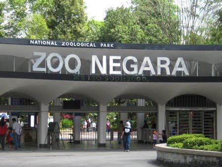 Zoo negara, kuala lumpur, malaysia is a national zoo in malaysia located on 110 acres of land in ulu klang, gombak district our latest vlog of zoo negara kuala lumpur malaysia, we dive deep inside and make a detailed video about zoo negara. Kuala Lumpur Attractions
