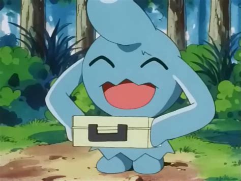 Wynaut Anime Bulbapedia The Community Driven Pokémon Encyclopedia