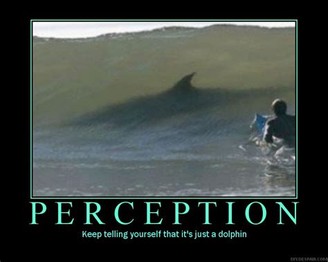 Perception Vs Reality