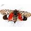Seen The Invasive Spotted Lanternfly What To Do As It May Near Lehigh 