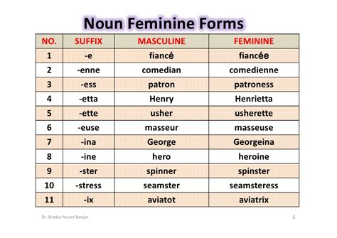 Common gender divisions include masculine and feminine.