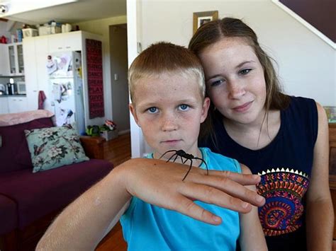Brayden Martz Bitten By Funnel Web While Trying To Scare Big Brother At