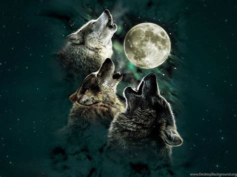 Wolf Howling Wallpapers Wallpapers Cave Desktop Background