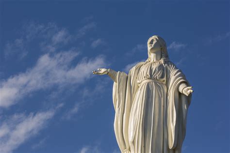 When is & how many days until feast of the immaculate conception in 2020? The Feast of the Immaculate Conception of Mary