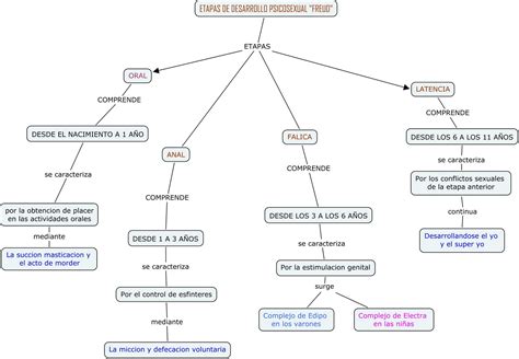 Mapa Conceptual De Las Etapas Del Desarrollo Psicosexual Desarrollo My Xxx Hot Girl