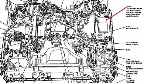 2008 Ford Crown Victoria Firing Order | Wiring and Printable