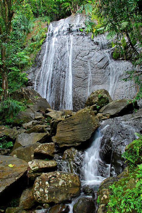 Best fajardo tours, top activities and tickets online. La Coca Falls Puerto Rico Photograph by Alan Lenk