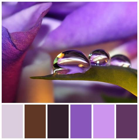 Maybe you would like to learn more about one of these? color palette (With images) | Soothing paint colors, Paint ...