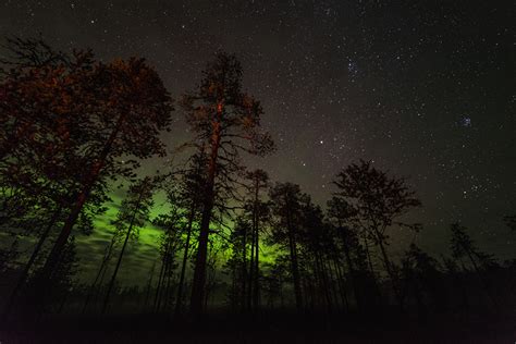 Fondos De Pantalla Cielo Estrella Noche árboles Aurora Polar Naturaleza Descargar Imagenes