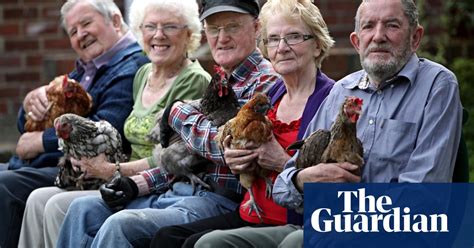 Hen Keeping A Cracking New Therapy For Older People Older People