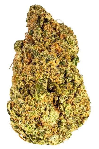 New Afghani Stardawg Strain Review From Hdigw