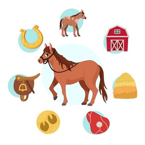 10 Horses Eating Hay Cartoon Stock Photos Pictures And Royalty Free