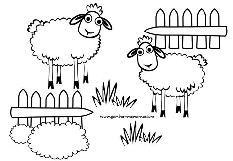 hewan ternak domba contoh gambar mewarnai