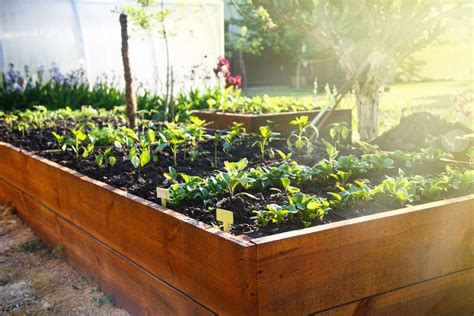 People choose to use raised garden beds for all kinds of reasons, but most find the idea beneficial because they can 4 Best Raised Garden Bed Options for the Backyard - Bob Vila