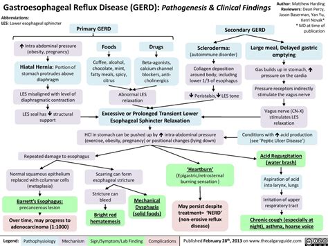 gastroesophageal reflux disease gerd pathogenesis and clinical findings calgary guide