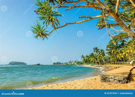 Beautiful Wild And Exotic Caribbean Beach Stock Photo Image Of Summer