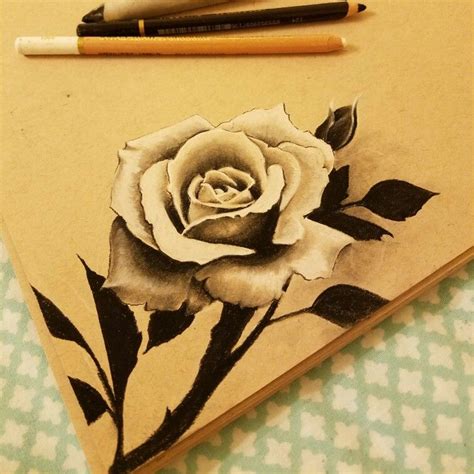 Charcoal Black And White Rose Drawing Realistic Art By Ashleyrose43 On