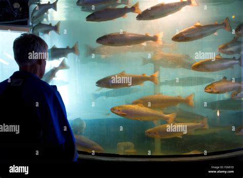 Visitors Explore The Wonders Of The Sea At The Huntsman Marine Science