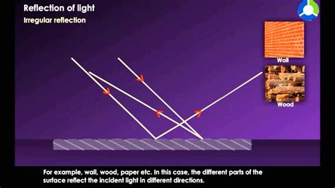 Regular Reflection Light Cbse Grade 07 Physics Youtube