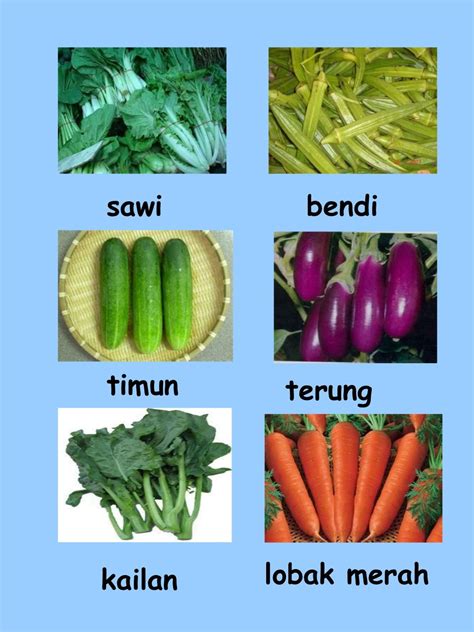 Collection Of Nama Nama Sayur Sayuran Dan Bahasa Latin Klasifikasi