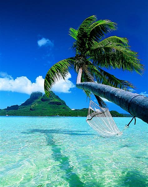 Top World Pic Bora Bora Island French Polynesia