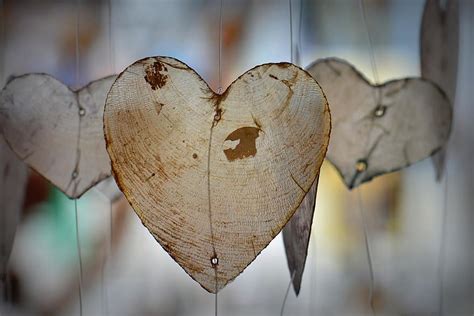 Heart Love Valentine Romance Decoration Pikist