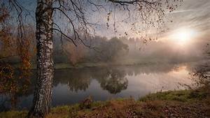 River, Between, Grass, Field, And, Trees, With, Fog, During, Fall