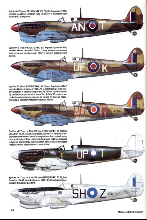Supermarine Spitfire Mk V Raf Variants 194345 Wwii Fighter Planes