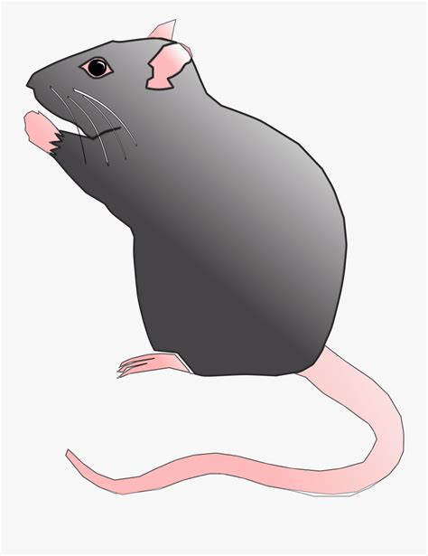 Does anyone else get these black spots on your desk from using your mouse? Rat Rodent Pest Mouse Animal Png Image - Rat Cartoon ...