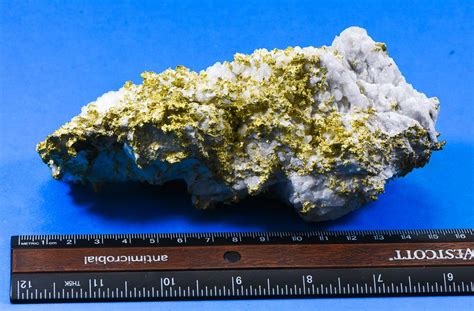 Large Gold Bearing Quartz Specimen Original 16 1 Mine California 1155