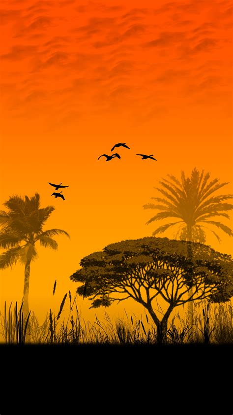 Evening In Africa Africa Birds Evening Sky Sunset Trees Hd Phone