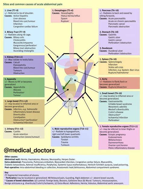 Site And Causes Of Acute Abdominal Pain Medizzy