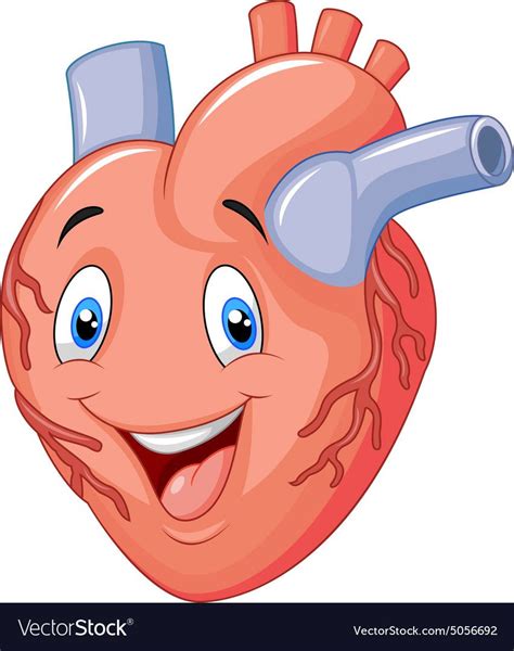 Animated Human Heart Clipart 10 Free Cliparts Download Images On