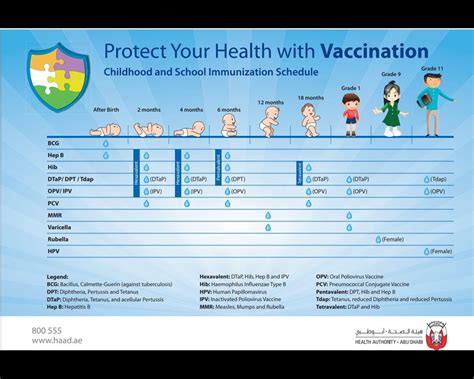 A vaccine is an antigenic preparation used to produce active immunity to a disease. Health of vulnerable groups - The Official Portal of the ...