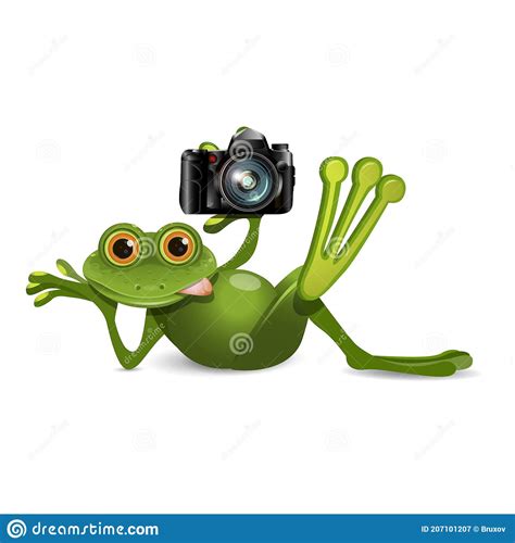 Stock Illustration Frog Holding Camera Stock Vector Illustration Of